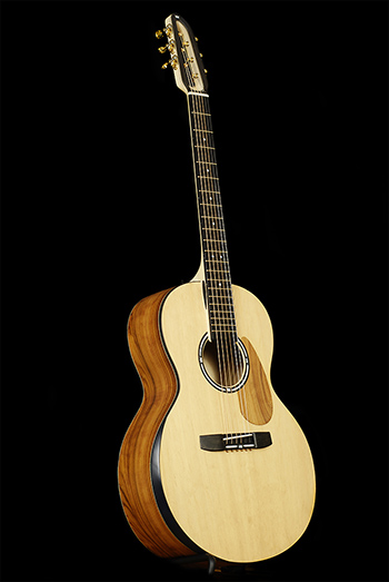turkowiak acoustic guitar
