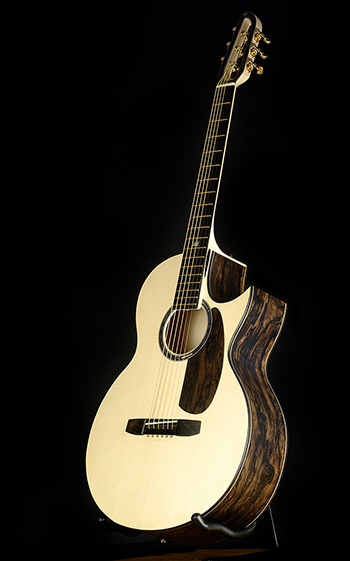 custom acoustic guitar Turkowiak 259