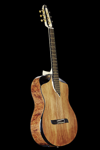 turkowiak acoustic guitar 334