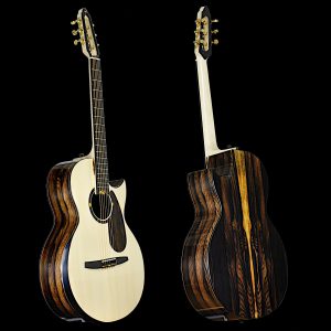 Turkowiak acoustic guitar #526