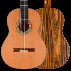 Partyka double-top classical guitar form 2022
